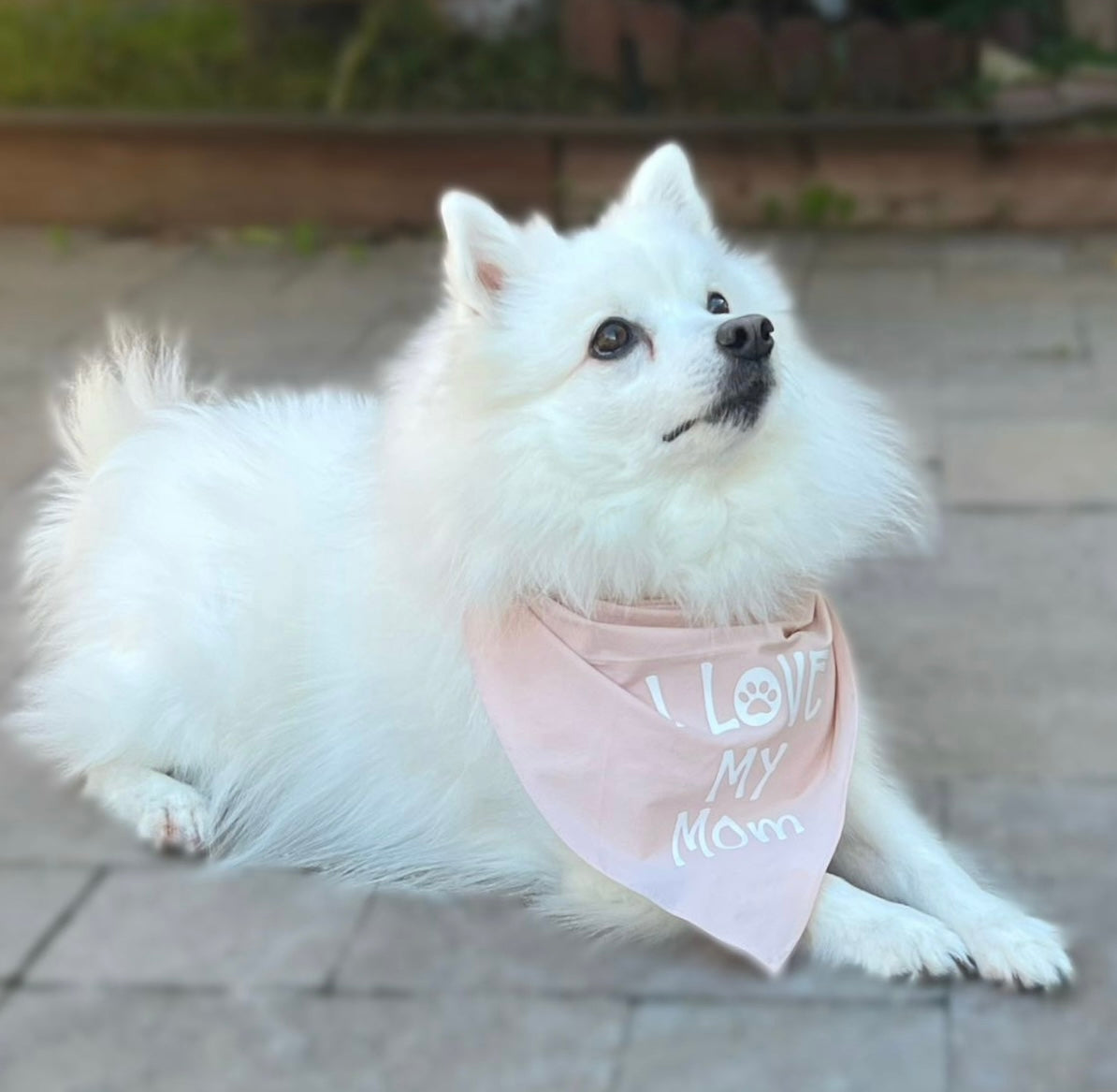 Dog Mom Gray Pink Beanie and "I Love My Mom" Bandana Set