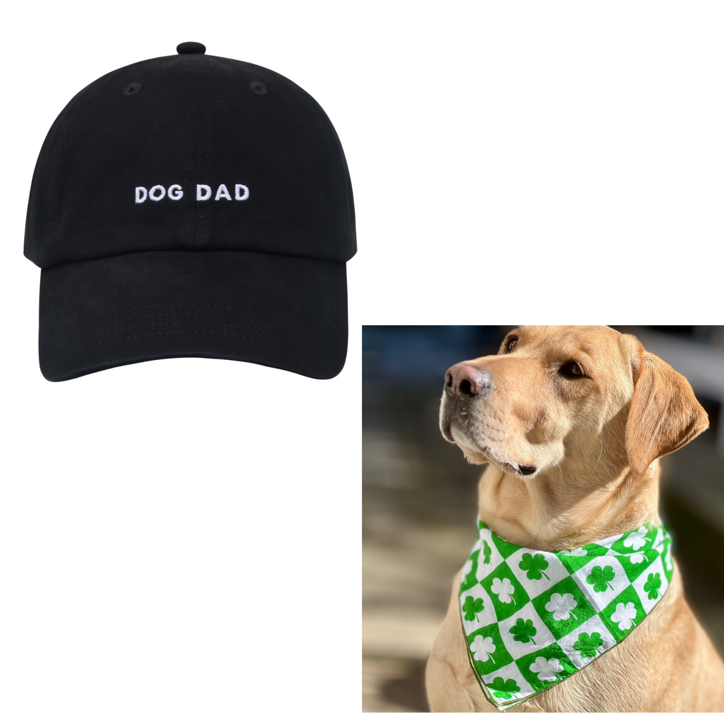Dog Dad Cap & St Patrick's Shamrocks Bandana Set