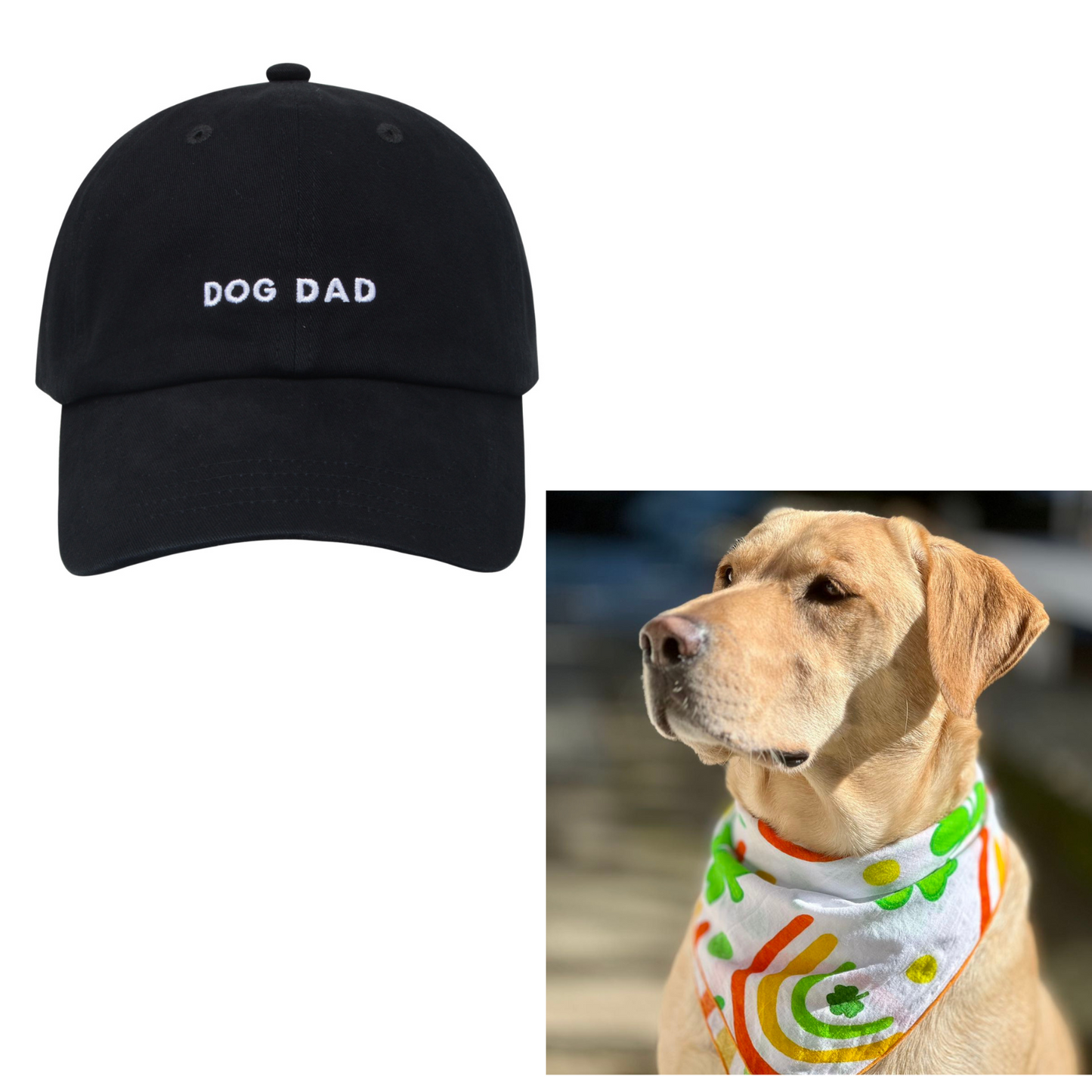 Dog Dad Cap & St Patrick's Shamrocks Bandana Set